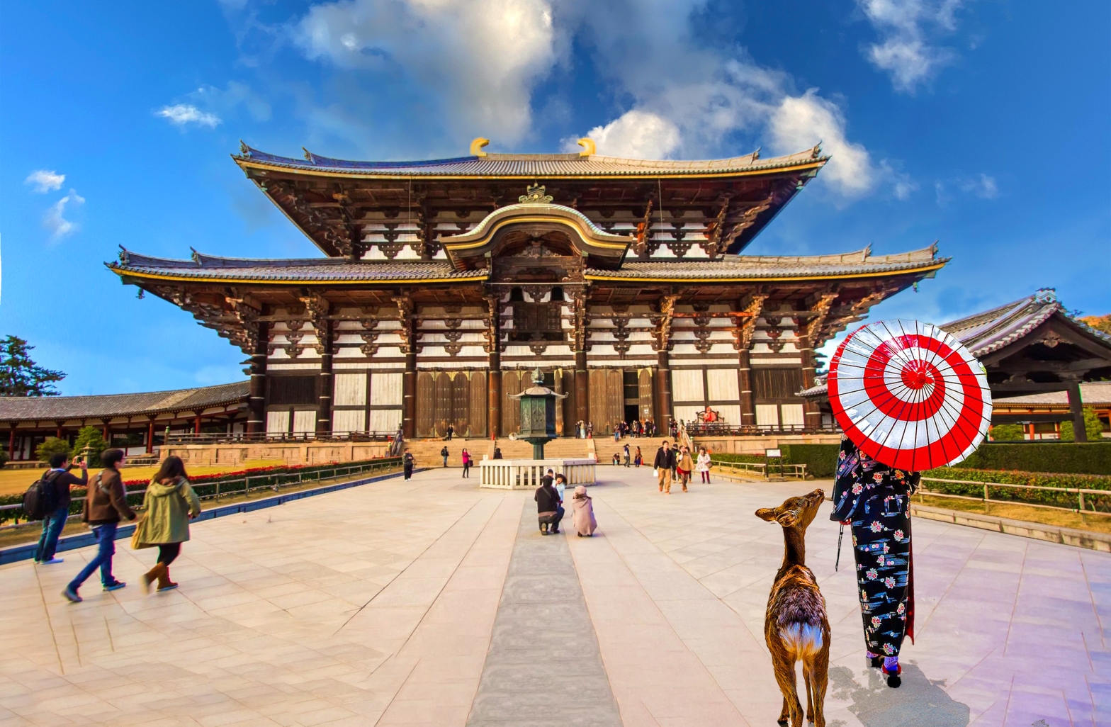 Bowing Deer and Breathtaking Temples: Discovering Nara Deer Park